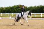 SBM_006826