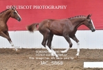 JAC_5868