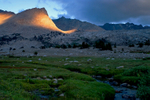 Photo of the Week 9/27/2010