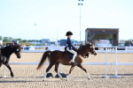 SBM_07790