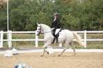 SBM_003736