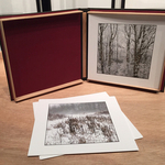 Brumal Views portfolio