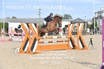 BPP_0843