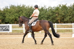 SBM_006629