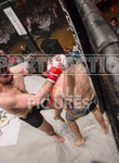 MMA BRITISH LIGHTWEIGHT CHAMPIONSHIP portfolio