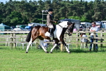 SBM_11493