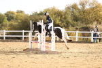 SBM_000607