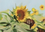 Sunflowers II