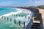 Vazon