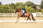 SBM_004564