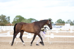 SBM_04012