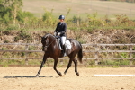 SBM_010561