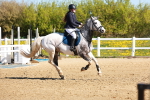 SBM_000754