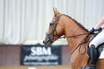 SBM_001558