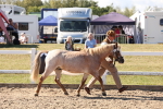 SBM_13884