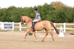 SBM_009235