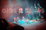 Pigsx7-78