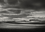 Fields to Billings