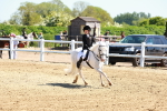 SBM_007169