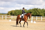 SBM_003650