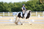 SBM_008431