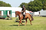 SBM_18338