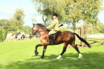SBM_42976