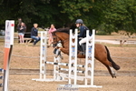 Sunday 17th - Click to View portfolio