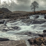 In Between The Showers