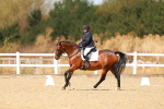 SBM_018017