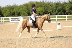 SBM_010289