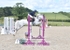 BPP_4433