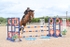 BPP_8534