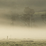 Early morning mist, Kaukapakapa