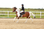 SBM_004060