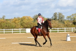 SBM_002096