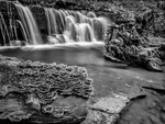 Scaleber Force 04