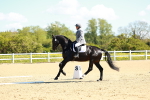 SBM_000202