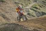 MX 291011 103