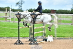 Cls 16 Foxhunter portfolio