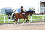 SBM_01905