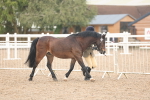 SBM_08501