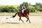SBM_009582