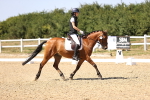 SBM_012437