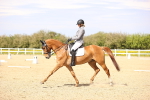 SBM_008419