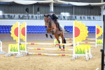 SBM_000536