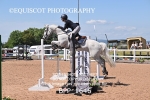 BPP_1646