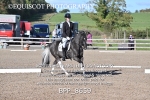 BPP_8659