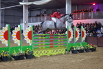 SBM_006666