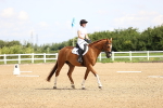 SBM_000337